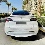 Rent tesla model Y long range 2023