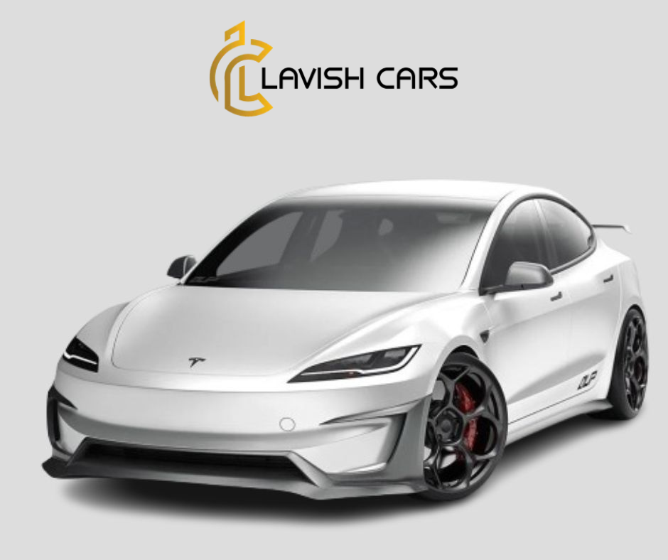 Rent Tesla Model 3 Performance 2024