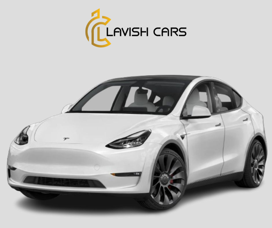 Rent Tesla Model Y Long Range 2023