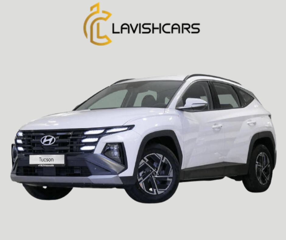 Rent Hyundai Tucson in Houston