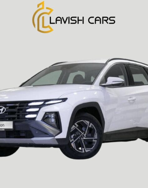 Rent Hyundai Tucson in Houston