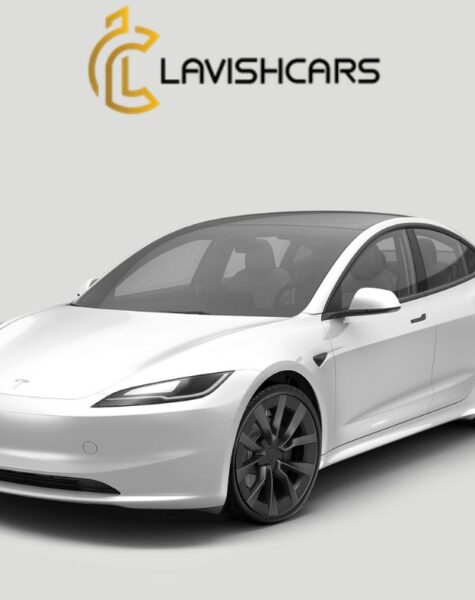 Rent Tesla Model 3 in Houston