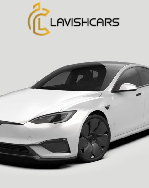 Rent Tesla Model S in Houston