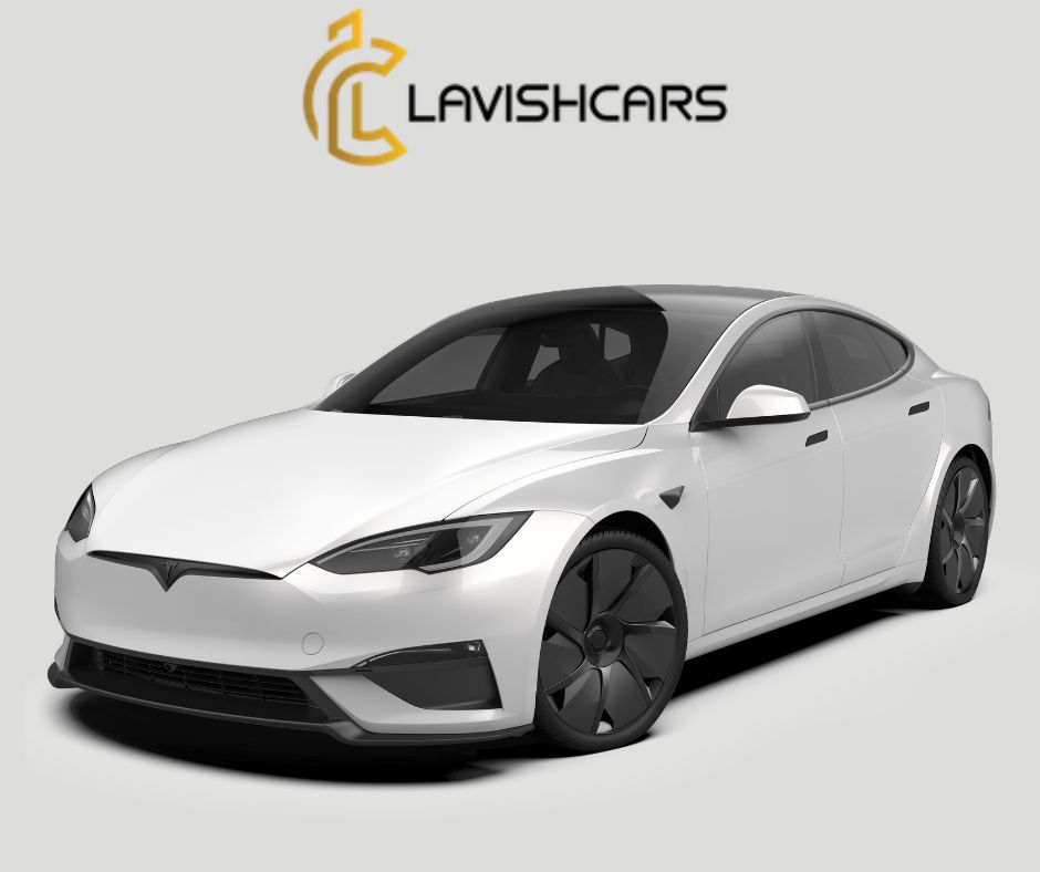 Rent Tesla Model S in Houston