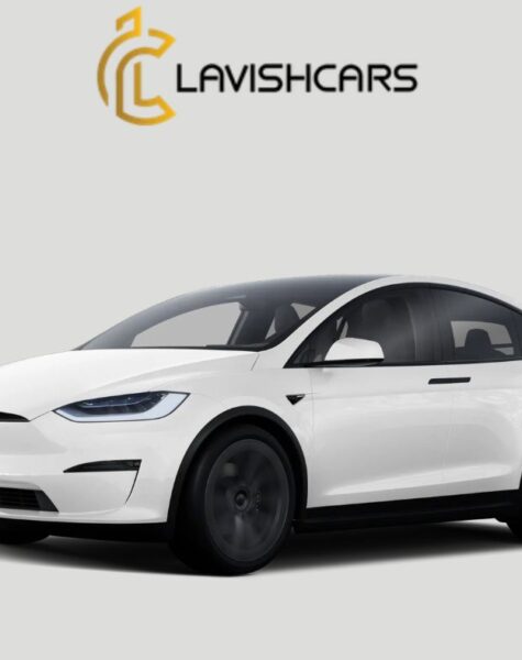 Rent Tesla Model X in Houston