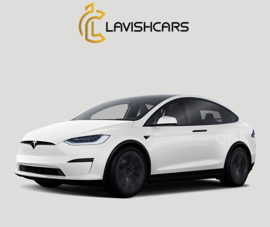 Rent Tesla Model X in Houston