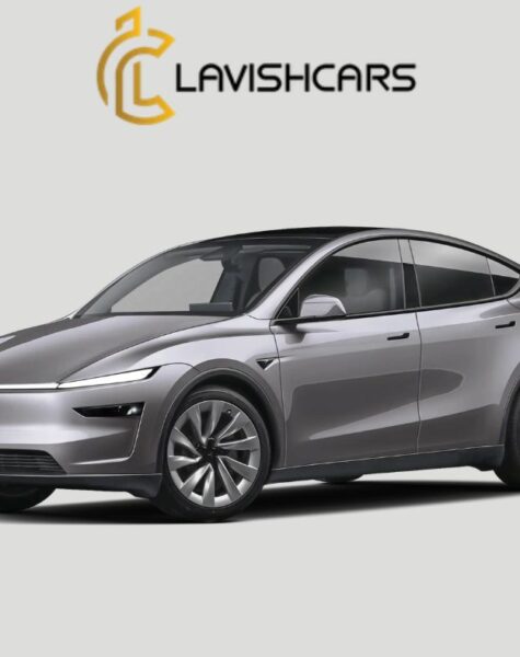 Rent Tesla Model Y in Houston