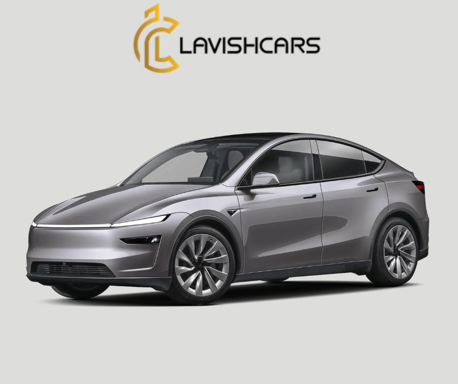 Rent Tesla Model Y in Houston