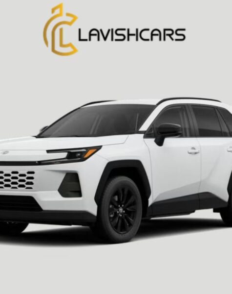 Rent Toyota RAV4 in Houston