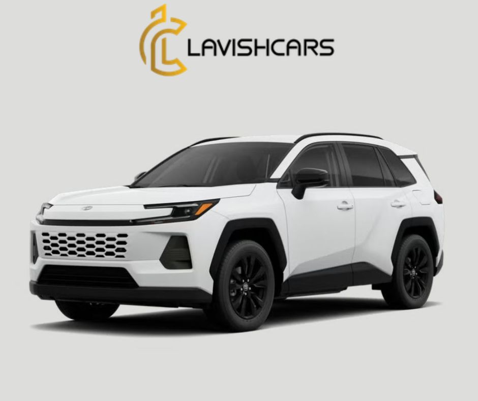 Rent Toyota RAV4 in Houston
