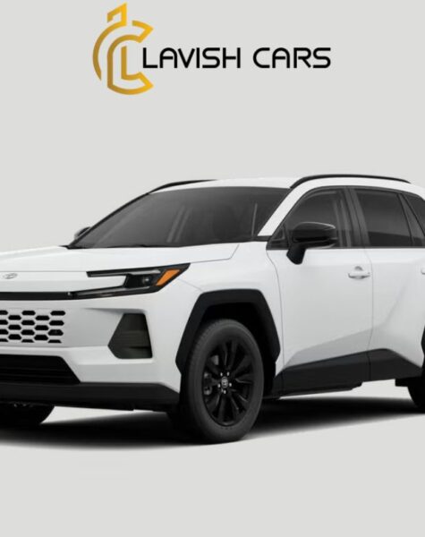 Rent Toyota RAV4 in Houston
