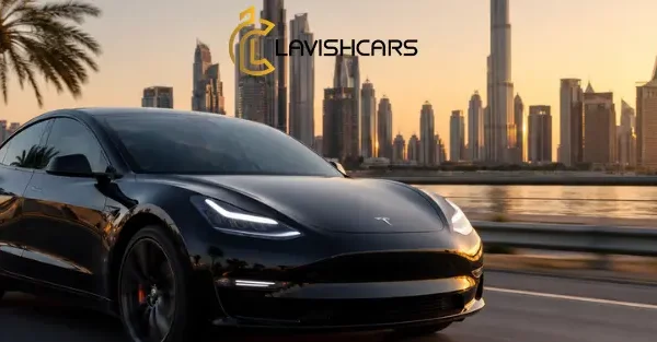 What Makes Tesla Cars Different From Traditional Vehicles? What Makes Tesla Cars Different From Traditional Vehicles?